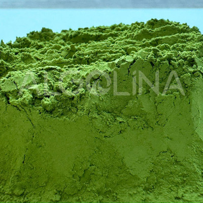 Algolina Matcha Ceremonial Grade A + Plus - 1 KG Doypack